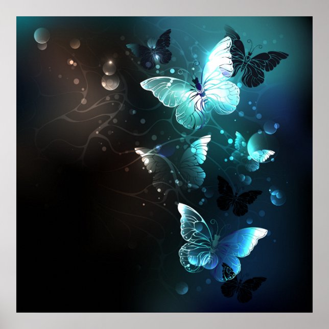 Poster Papillons de nuit (Devant)