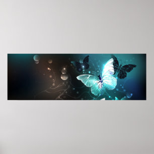 Poster Papillons de nuit