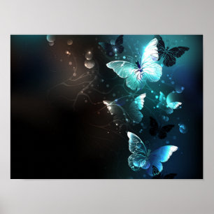 Poster Papillons de nuit