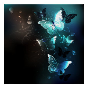 Poster Papillons de nuit à la menthe