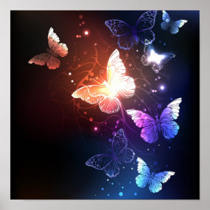 Poster Papillons de nuit lumineux