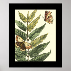 Poster Papillons et Feuilles avec cadre noir