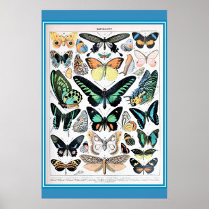 Poster Papillons français vintages Cottagecore