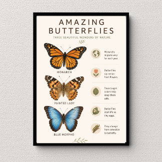 Poster Papillons Incroyables Éducatif