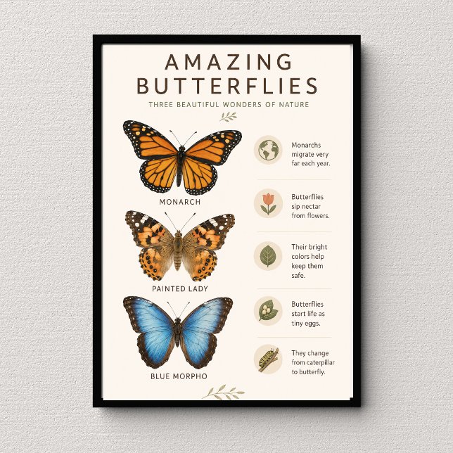 Poster Papillons Incroyables Éducatif (Créateur téléchargé)