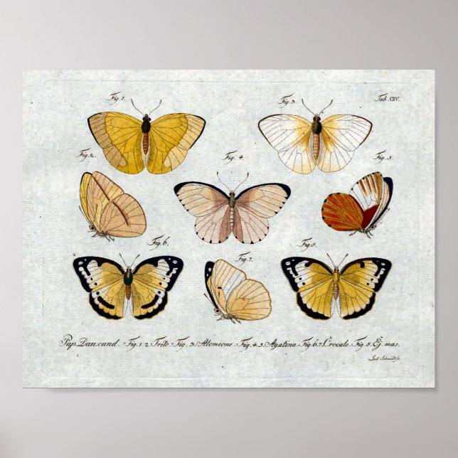Poster Papillons jaunes Vintage Imprimer Télécharger (Devant)