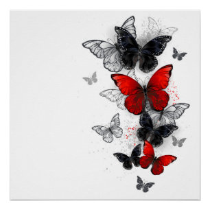 Poster Papillons noirs et rouges volants