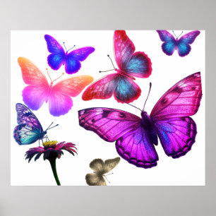 Poster Papillons se nourrissant et volant autour de color