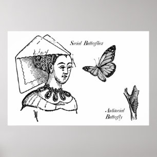 Poster Papillons sociaux