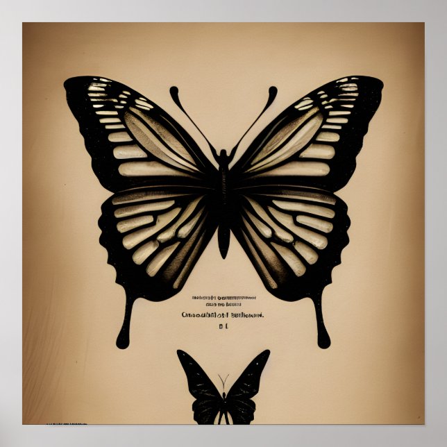 Poster Papillons vintages (Devant)