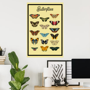 Poster Papillons vintages