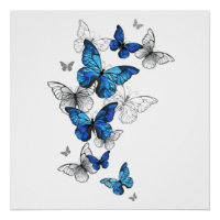 Papillons volants bleus Morpho