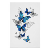 Papillons volants bleus Morpho