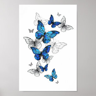 Poster Papillons volants bleus Morpho