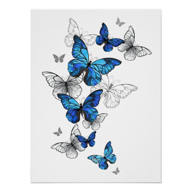 Poster Papillons volants bleus Morpho (Devant)