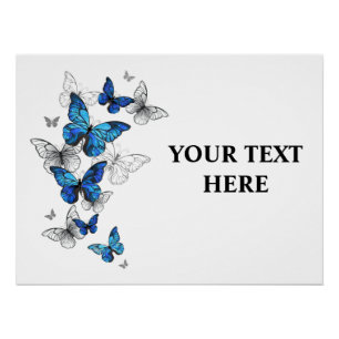 Poster Papillons volants bleus Morpho
