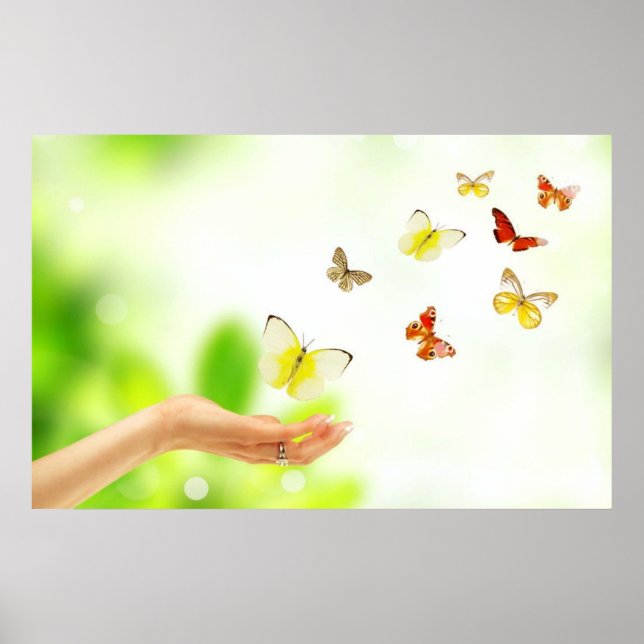 Poster Papillons volants de la guérison et de la main aim (Devant)
