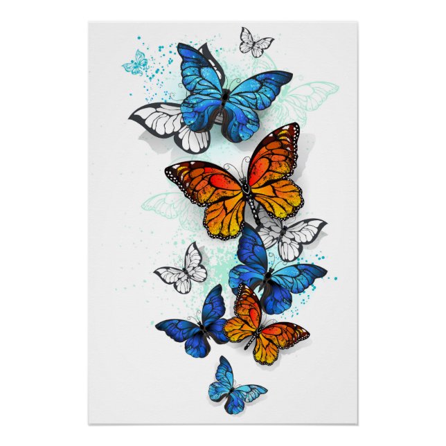 Poster Papillons volants Morpho et Monarch (Devant)