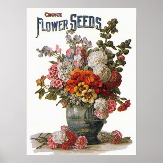 Poster Paquet de semences Annuels vintages (Devant)
