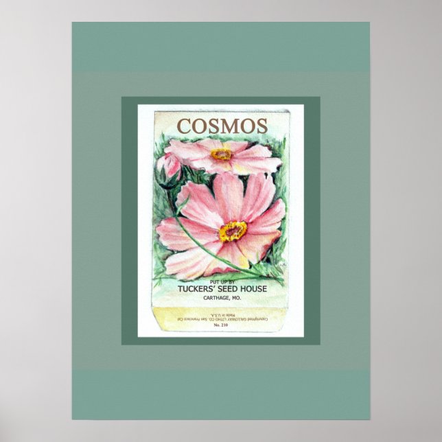 Poster Paquet de semences Cosmos (Devant)