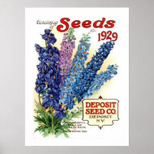 Poster Paquet de semences Delphiniums vintages Assortis