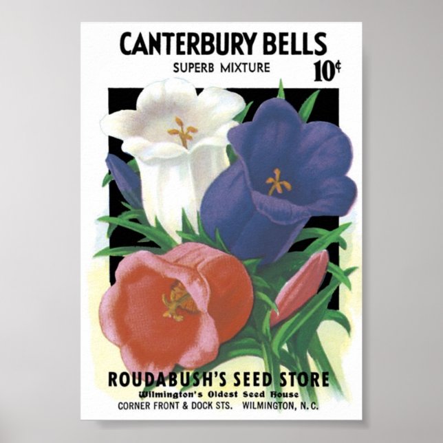Poster Paquet de semences vintage (Devant)