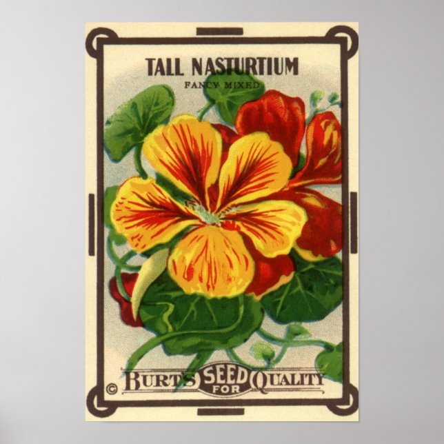 Poster Paquet de semences vintage Art Étiquette, Fleurs d (Devant)