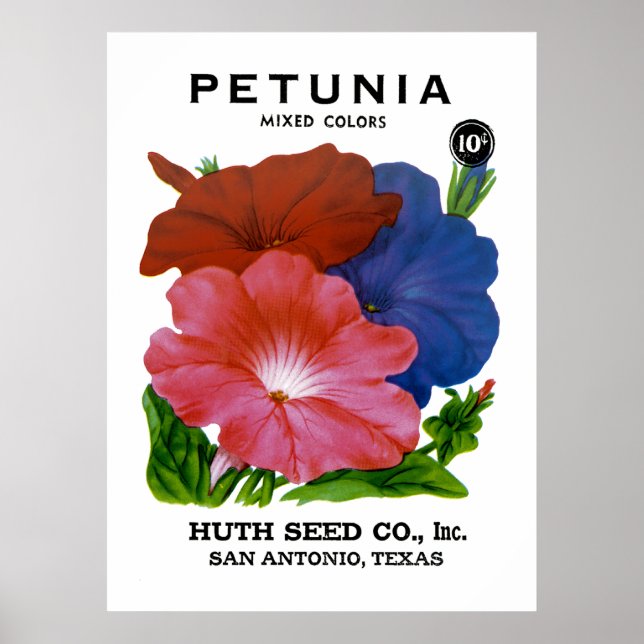 Poster Paquet de semences Vintage Petunia (Devant)