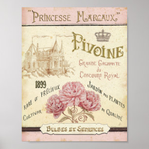 Poster Paquet floral de graine