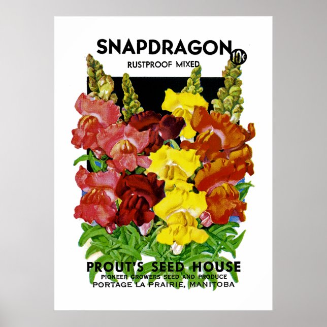 Poster Paquet Vintage de semences Snapdragon (Devant)