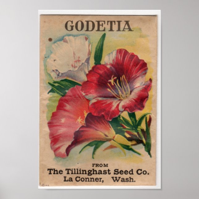 Poster Paquets de semences vintages (Devant)