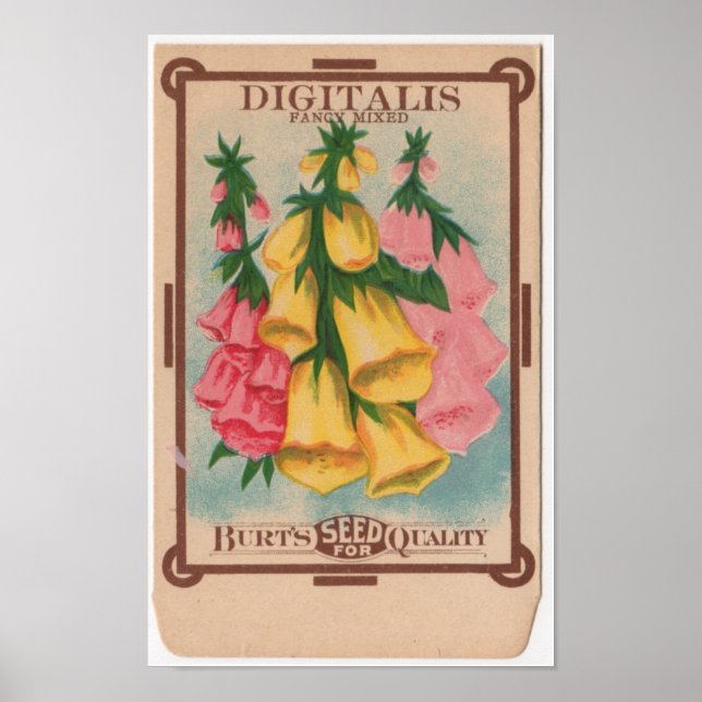 Poster Paquets de semences vintages (Devant)