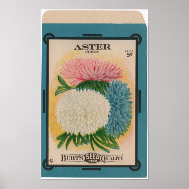 Poster Paquets de semences vintages (Devant)