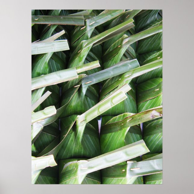 Poster Paquets en feuille de bananier enveloppés (Devant)