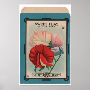 Poster Paquets vintages de graine