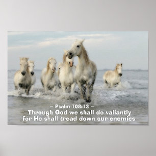 Poster Par Dieu nous ferons Psaume Valable 108:13