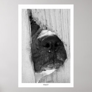 Poster Par la barrière