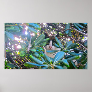 Poster Par le feuille