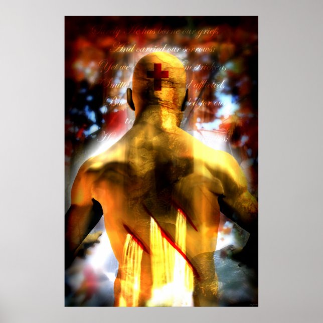 Poster Par Ses Rayures (Devant)