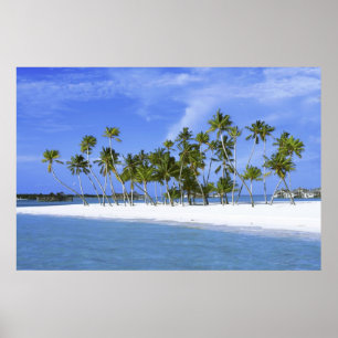 Poster paradis balnéaire avec l'affiche hammock_Maldives