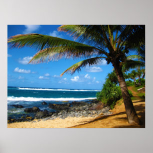 Poster Paradis hawaïen