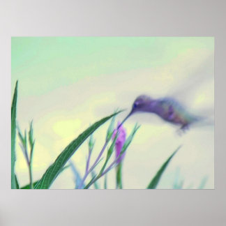 Poster Paradis pourpre