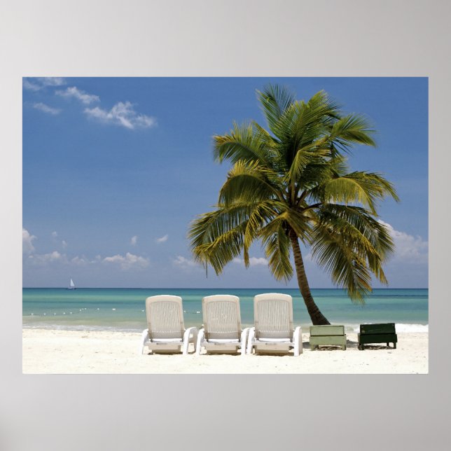 Poster Paradis tropical (Devant)