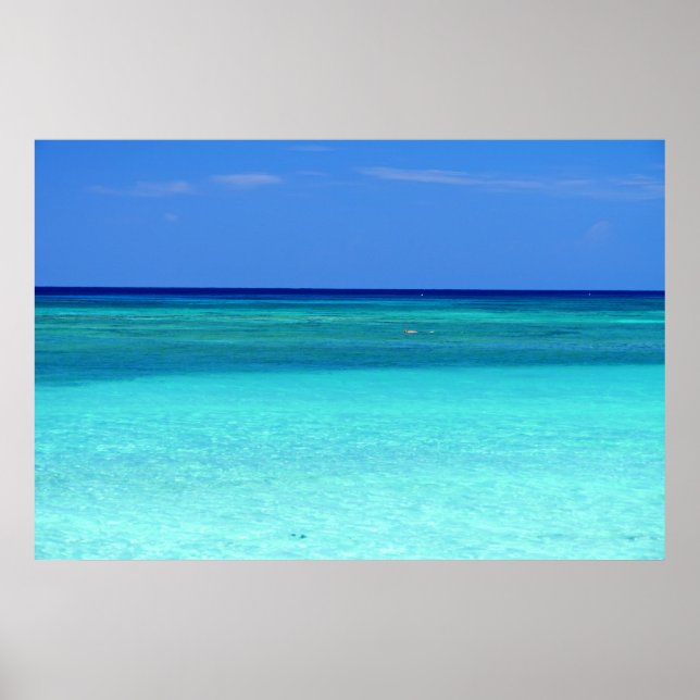 Poster Paradis Vert Bleu (Devant)