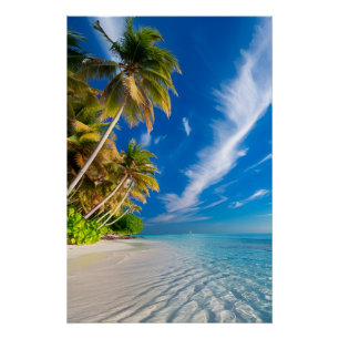 Poster Paradise Shoreline : Palmiers tropicaux et cristal