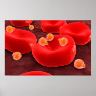 Poster Parasites du paludisme dans les cellules de sang r