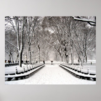 Poster Parc central 2010 Neige - CIMG6496
