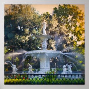 Poster Parc de Forsyth, dans la savane, GA