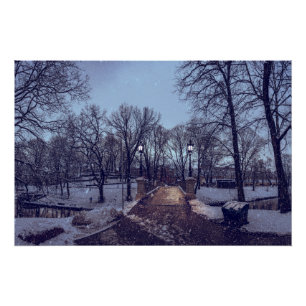 Poster Parc de la ville enneigée en hiver le soir