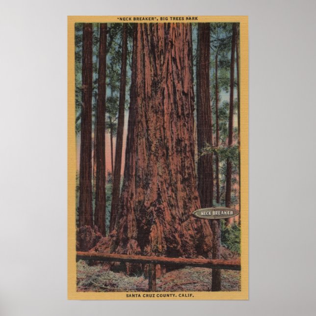 Poster Parc d'état Big Trees, CA - Arbre briseur de cou (Devant)